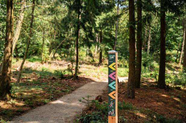 Ein Schild im Wald zeigt mit Pfeilen die Green Trails an.