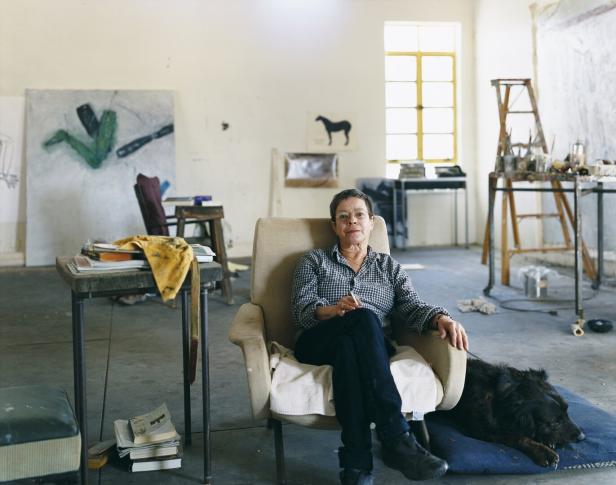 Tiere, die mit der Leinwand ringen: Kunsthalle Krems zeigt Susan Rothenberg