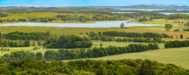 Eine grüne Landschaft mit viel Wasser, von oben.