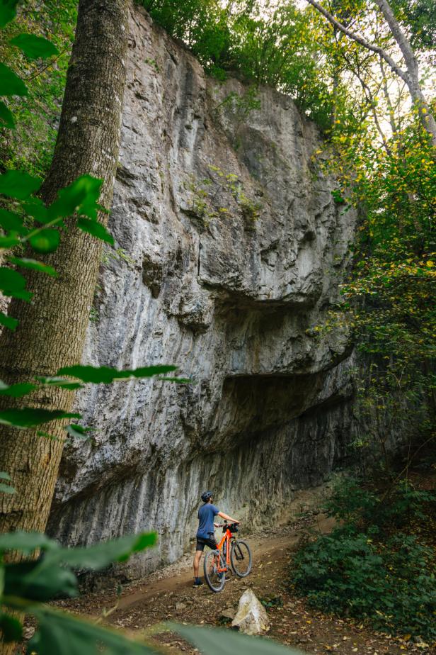 Die besten Radtouren in Niederösterreich: Geheimtipps von Locals