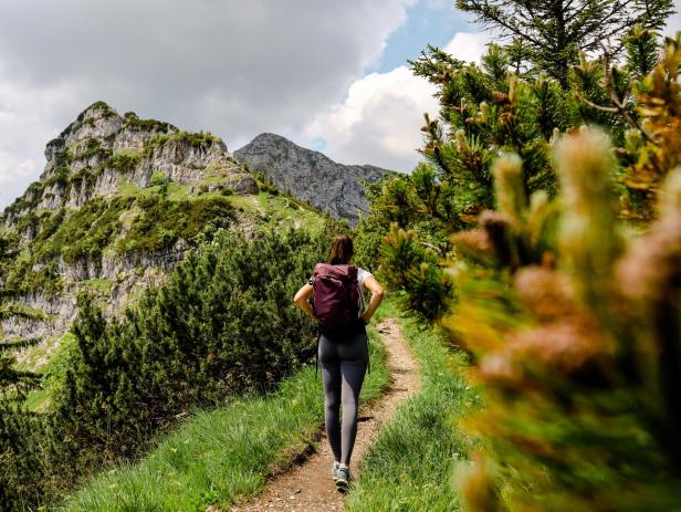 Die schönsten Wandertouren in Niederösterreich: Insidertipps
