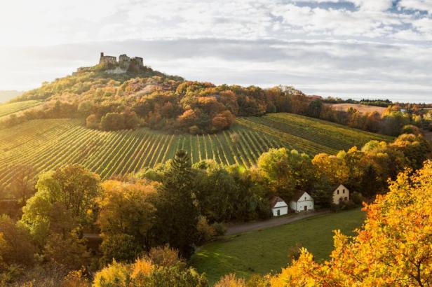 Die schönsten Wandertouren in Niederösterreich: Insidertipps