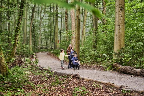 Eine Familie spaziert mit einem Kinderwagen durch den Wald, umgeben von Bäumen und natürlicher Vegetation.