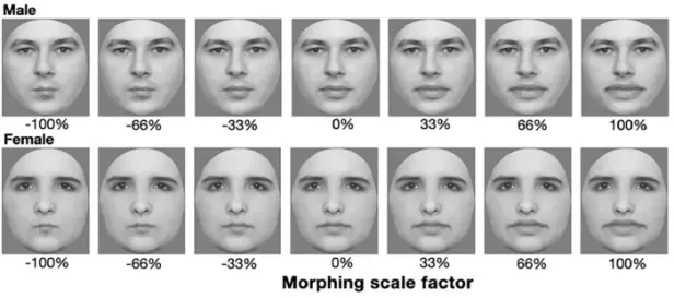 32 Studierende wurden insgesamt 168 digital veränderte Gesichter gezeigt Bilderreihe mit Gesichtern und unterschiedlichen Lippen
