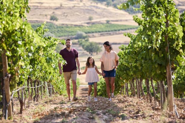 Ribera del Duero: Spaniens Weinstraße entdecken