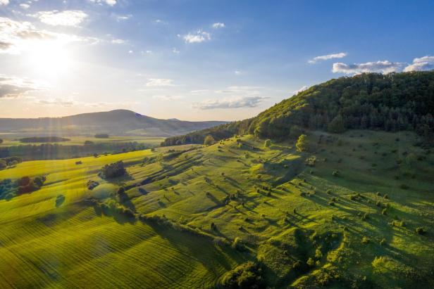Eine malerische Aussicht auf ein grünes Feld, umgeben von Bäumen und sanften Hügeln im Hintergrund.