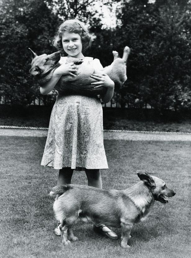 Ein Kind hält einen Corgi wie ein Baby im Arm, vor ihr steht ein zweiter Hund.