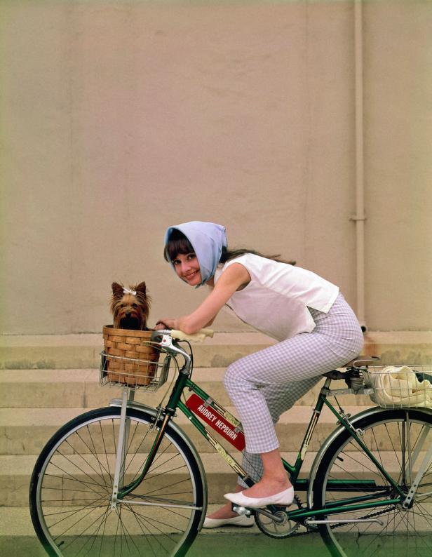Hepburn sitzt mit Kopftuch auf einem Fahrrad. Im Korb am Lenker sitzt ein Hund.