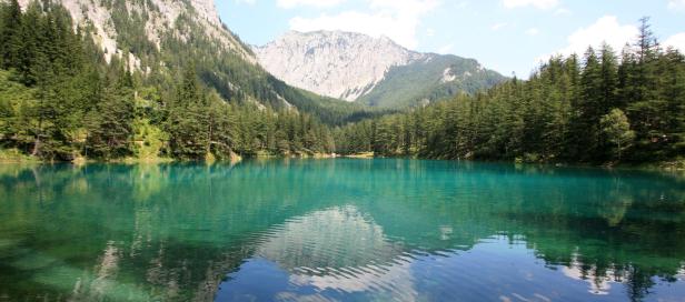 Grüner See ausgetrocknet, Schaulustige strömen dennoch herbei