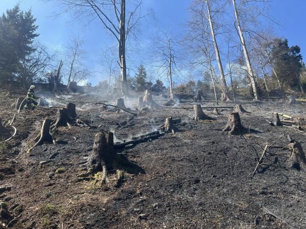 Ein Feuerwehrmann löscht einen Brand in einem abgeholzten Waldstück.