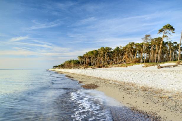 Ein weißer Sandstrand mit hohen Bäumen.