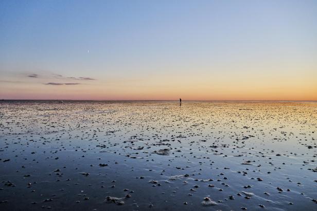 Ein Wattenmeer im Licht des Sonnenuntergangs. Eine Person steht weit hinten.