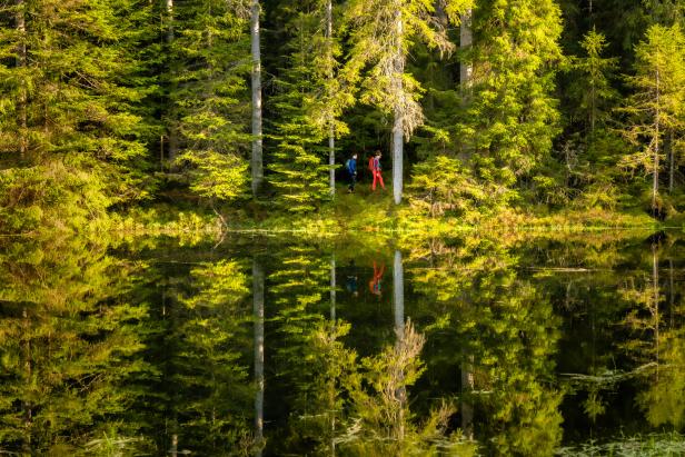 In einem See spiegelt sich ein grüner Wald und zwei Wanderer. Das Bild ist sehr grün.