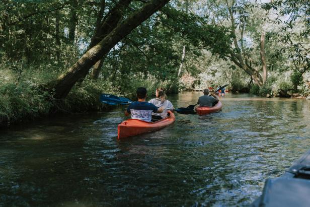 Mehrere Personen paddeln in roten Kanus auf einem Fluss durch den Wald.