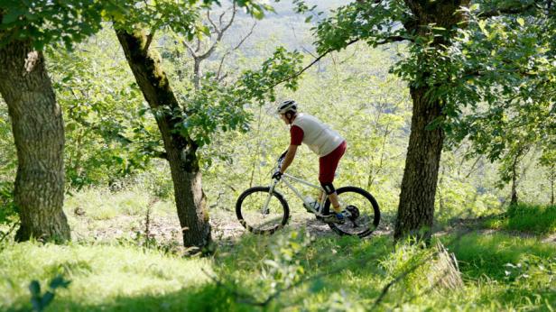 Mountainbiken in Niederösterreich: Die 6 besten Regionen & Trails