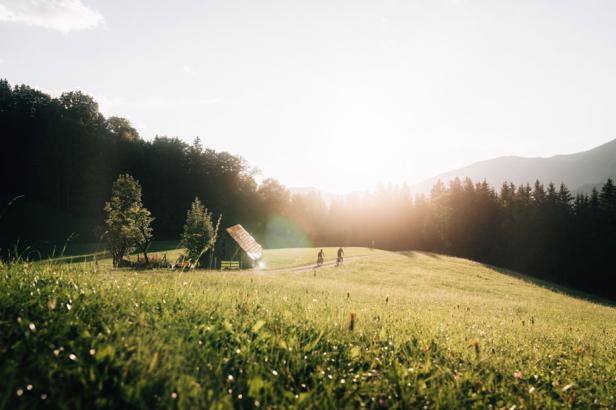 Mountainbiken in Niederösterreich: Die 6 besten Regionen & Trails