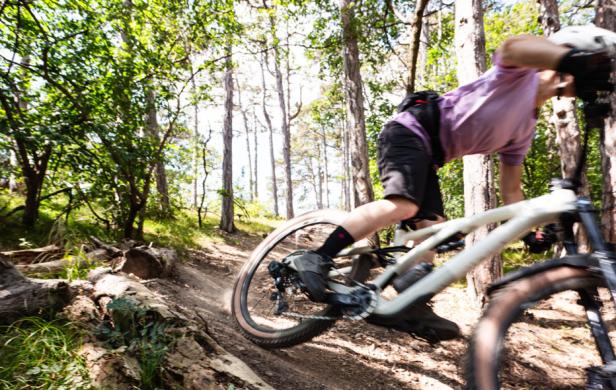 Mountainbiken in Niederösterreich: Die 6 besten Regionen & Trails