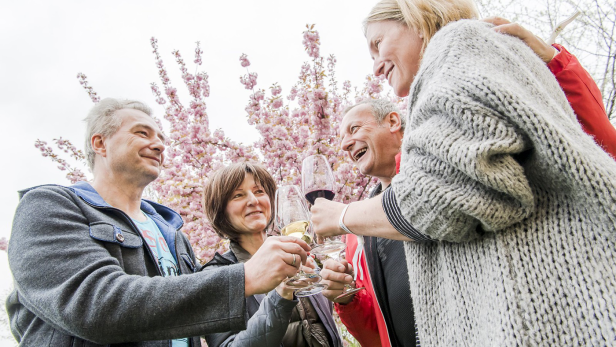 Weinfrühling im Kamptal, Kremstal & Traisental - Eintritte gewinnen!