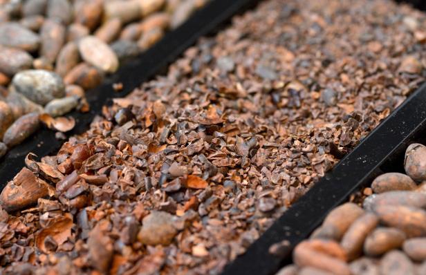 Geröstete Kakaobohnen und Kakaonibs in einer schwarzen Schale.