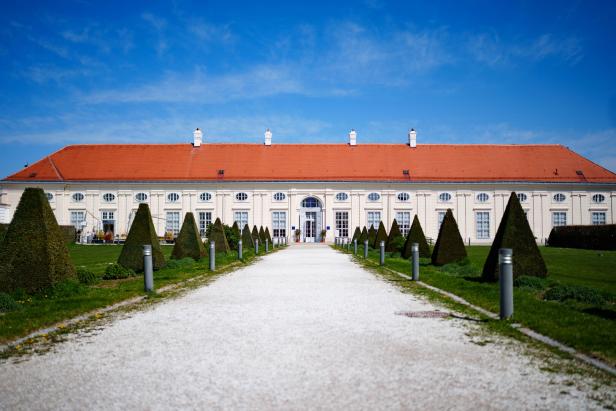 Wie Augarten-Porzellan mit Tradition bricht und junge Käuferschichten anzieht