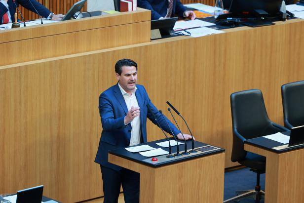 Zarits oder Strobl: Wer kann die ÖVP Burgenland retten?
