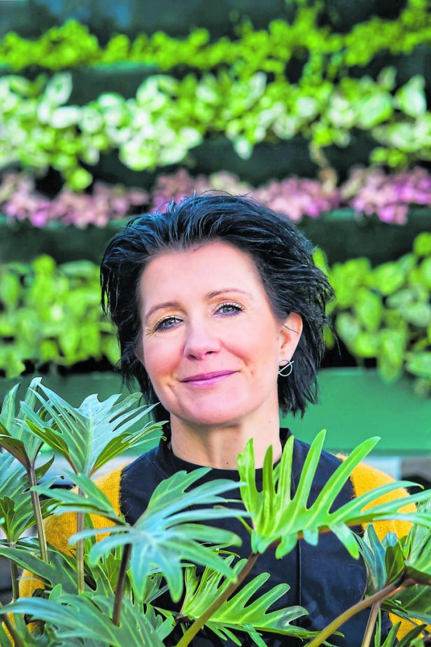 Verjüngungskur für Rosen: Tipps für den richtigen Rückschnitt