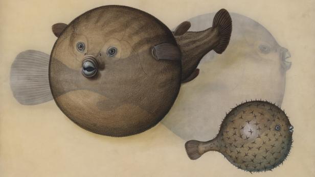 Prunkzoo: Von Fischen, Vögeln & Reptilien