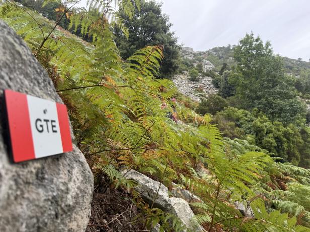 Elba-Überquerung: schräges Wandern mit Berg, Meer und Geschichte
