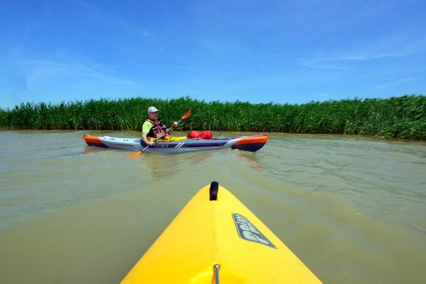 gelbes Kajak im Wasser des Neusiedlersees vor einer Schilflandschaft