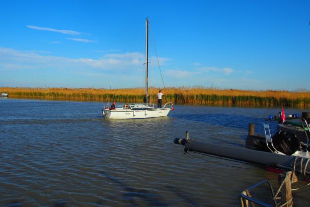 Segelboot am Neusiedler See im Burgenland