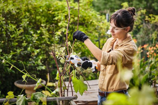 Von der Hecke bis zur Feuerstelle: In 5 Schritten wird Ihr Garten grillbereit