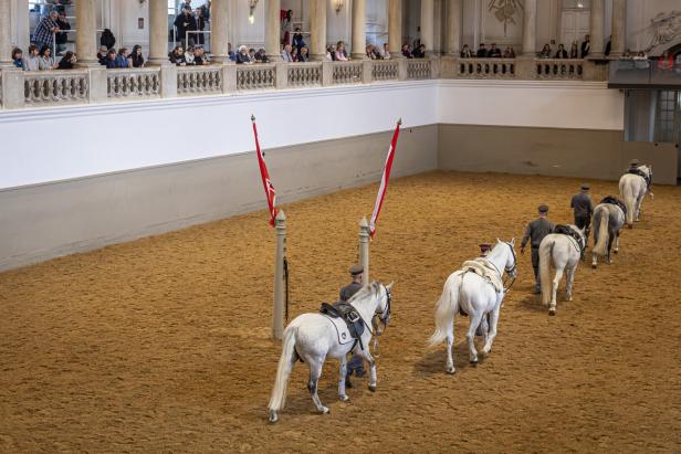 Eine Vorführung der Spanischen Hofreitschule mit Lipizzaner-Pferden in Wien.