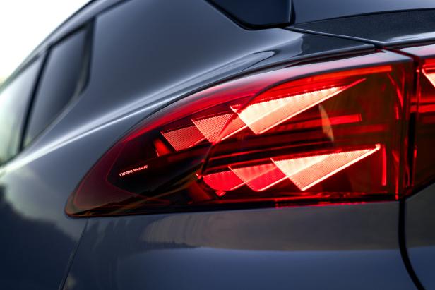Cupra Terramar: Ein sportlicher Freund der Familie
