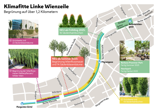30 neue Bäume: Linke Wienzeile wird grüner