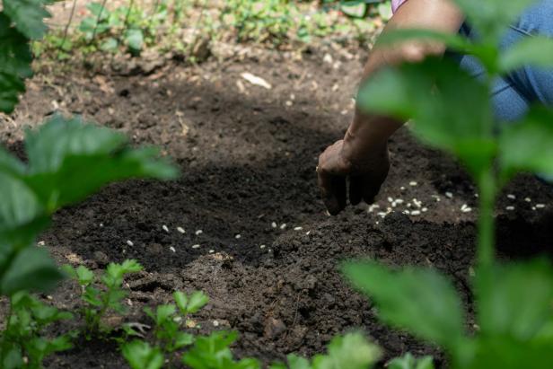 Von der Hecke bis zur Feuerstelle: In 5 Schritten wird Ihr Garten grillbereit