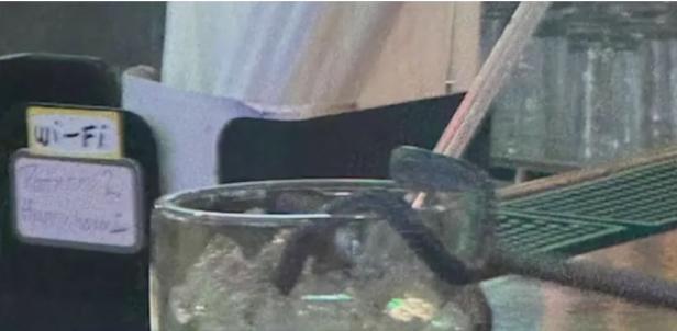Dieses Bild postete die Frau auf Reddit: Schlange im Cocktail. Dieses Bild postete die Frau auf Reddit: Schlange im Cocktail.