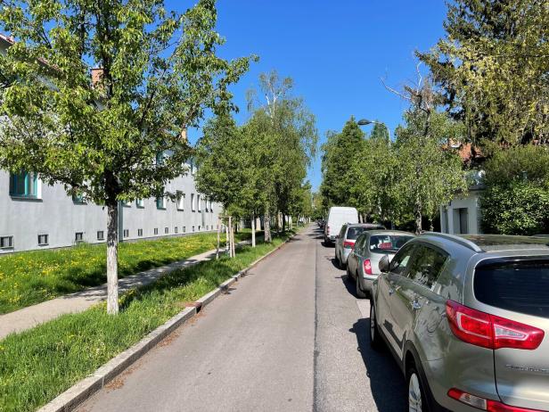 Groß-Jedlersdorf nach der Wahl: Blaue Hochburg im Roten Wien