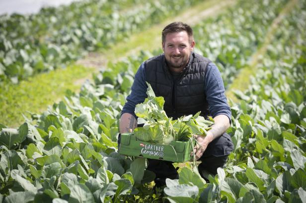 Florian Mössinger ist Kohlrabispezialist und führt seinen Betrieb im Marchfeld in 3. Generation.
