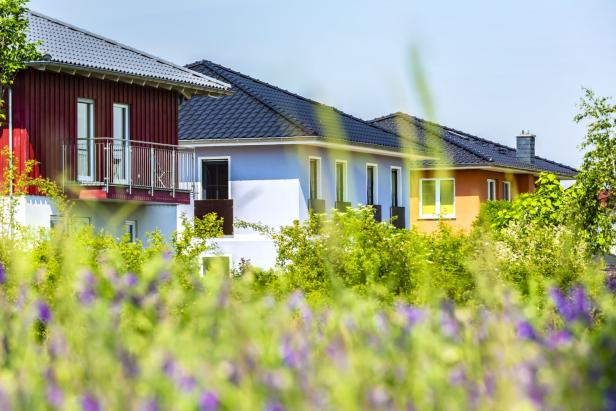Mehrere moderne, farbige Häuser mit dunklen Dächern stehen hinter grünen Büschen und blühenden Pflanzen.