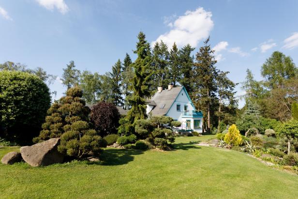 colorful spring garden Wohnen in Niederösterreich: Was ein Quadratmeter kostet und wo es günstig ist