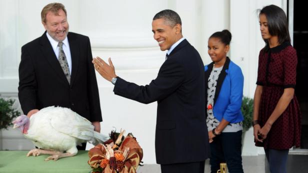 Thanksgiving: Obama "begnadigte" Truthähne