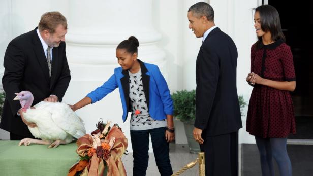 Thanksgiving: Obama "begnadigte" Truthähne