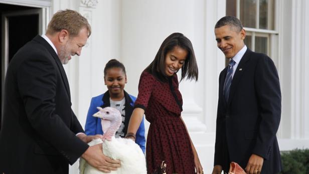 Thanksgiving: Obama "begnadigte" Truthähne