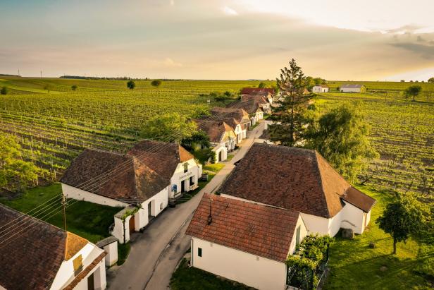 Luftaufnahme einer Kellergasse mit Weinfeldern im Weinviertel, Österreich.