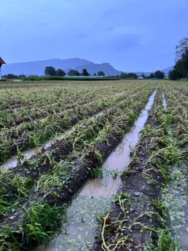 ++ HANDOUT ++ VORARLBERG: UNWETTER - EXTREM STARKER REGEN UND HAGEL ++ HANDOUT ++ VORARLBERG: UNWETTER - EXTREM STARKER REGEN UND HAGEL