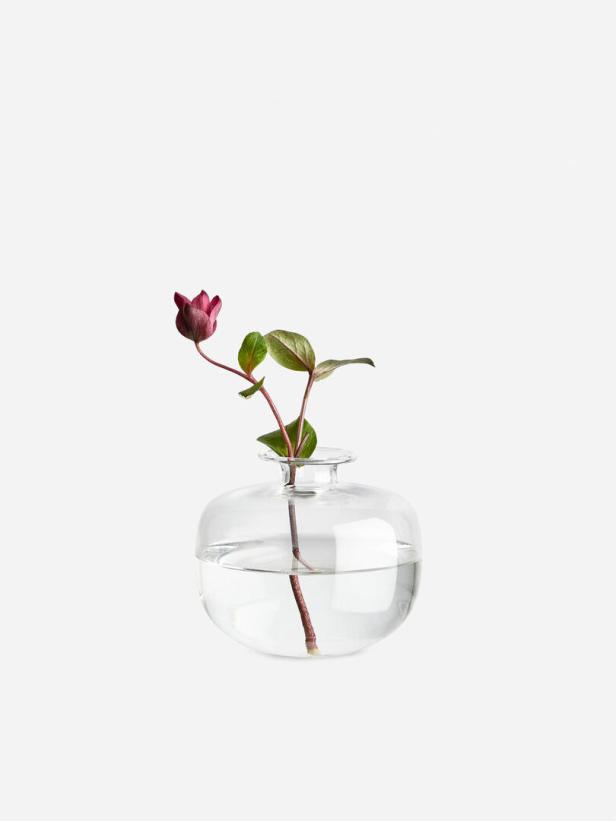 Eine einzelne purpurrote Blume mit grünen Blättern in einer transparenten Glasvase.