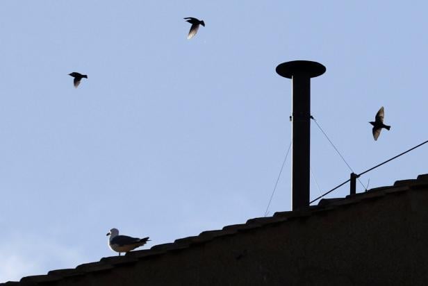 Conclave to elect a successor to late Pope Francis Conclave to elect a successor to late Pope Francis