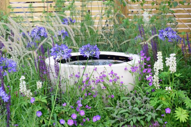 Ein Wasserbecken ist von lila und weißen Blumen umgeben.