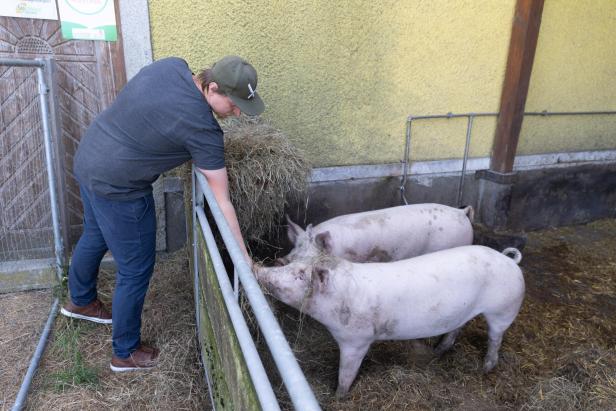 Bio-Landwirt Simon Humer