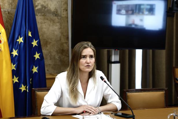 Spanish Minister for Ecological Transition holds videoconference with Portuguese Minister of Environment and Energy over blackout Spanish Minister for Ecological Transition holds videoconference with Portuguese Minister of Environment and Energy over blackout